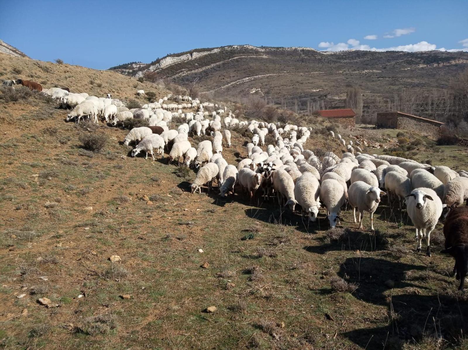 Casa Rural Chulilla Villarroya de los Pinares Eksteriør bilde
