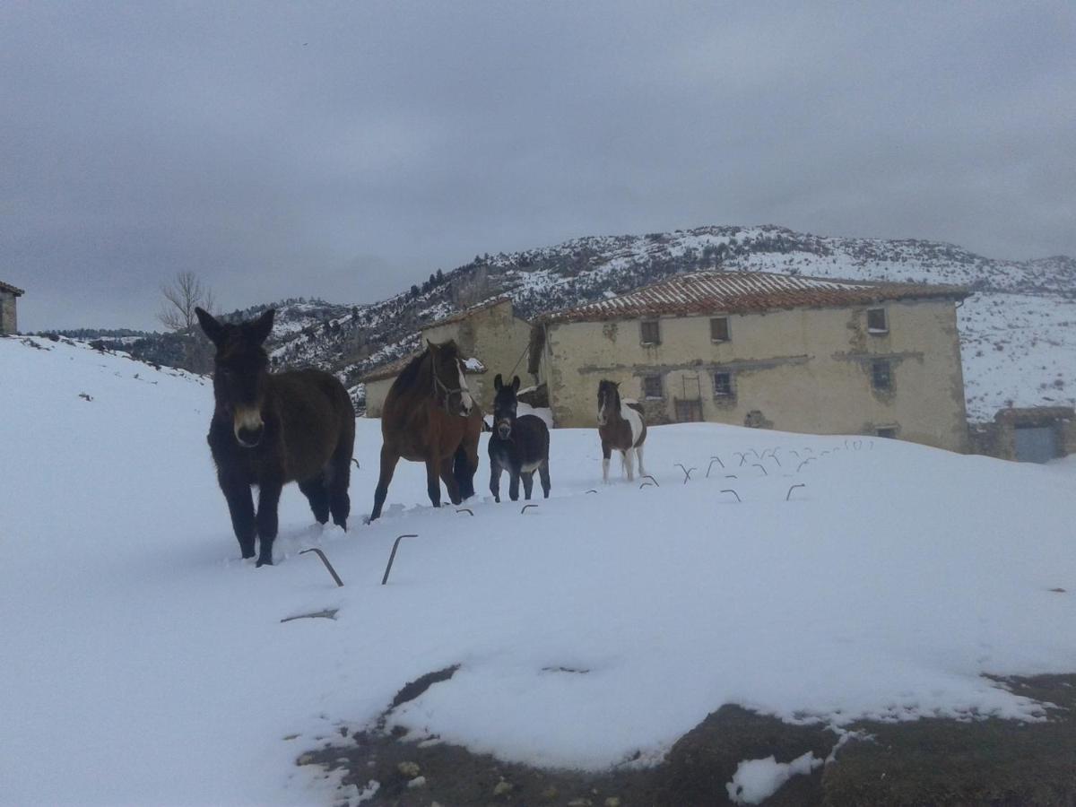 Casa Rural Chulilla Villarroya de los Pinares Eksteriør bilde
