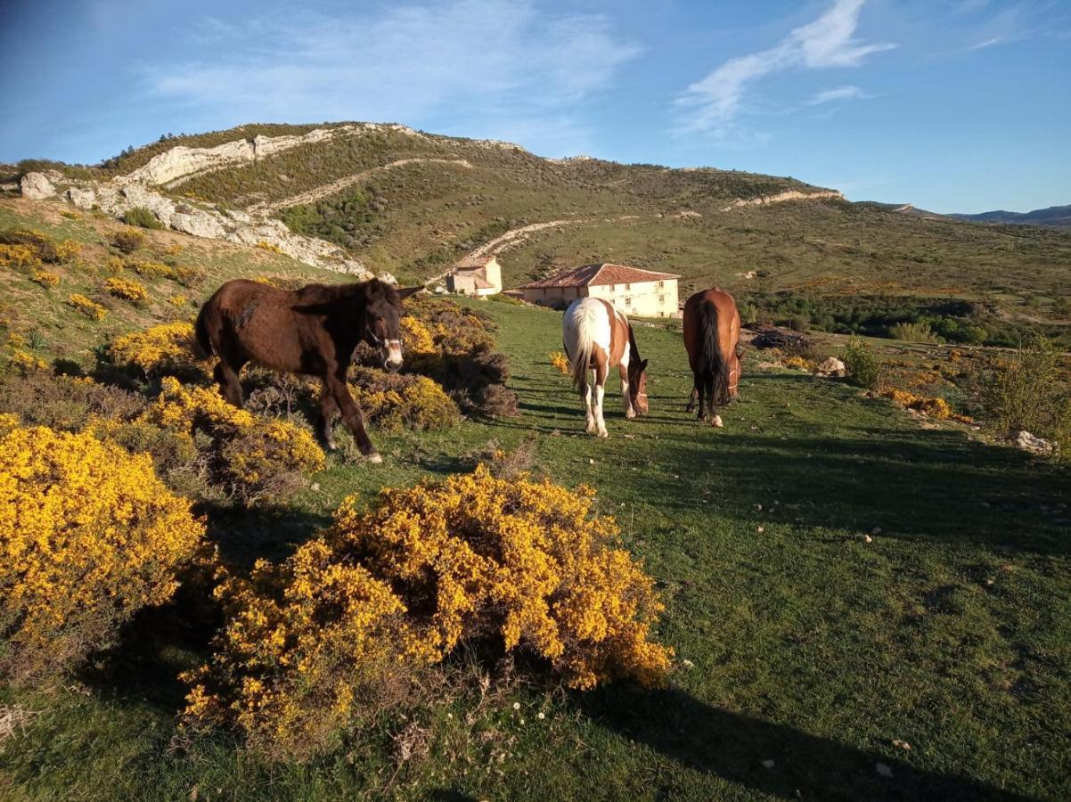 Casa Rural Chulilla Villarroya de los Pinares Eksteriør bilde