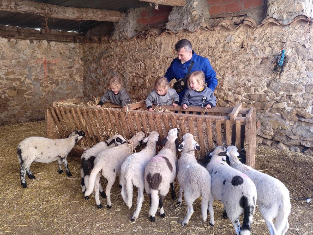 Casa Rural Chulilla Villarroya de los Pinares Eksteriør bilde